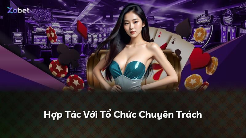 Hợp Tác Với Tổ Chức Chuyên Trách