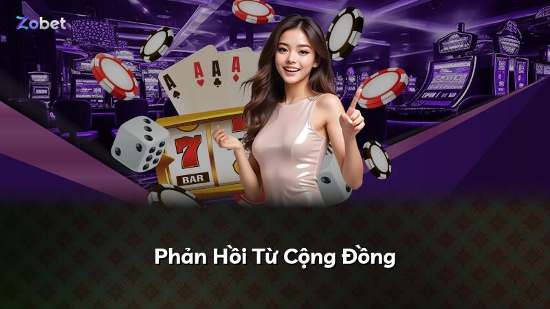 Phản Hồi Từ Cộng Đồng