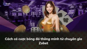 Cách cá cược bóng đá thông minh từ chuyên gia Zobet