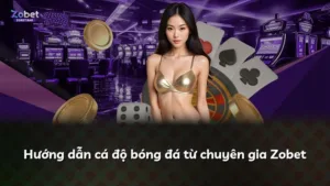Hướng dẫn cá độ bóng đá từ chuyên gia Zobet