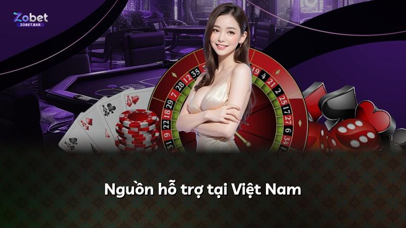 Nguồn hỗ trợ tại Việt Nam